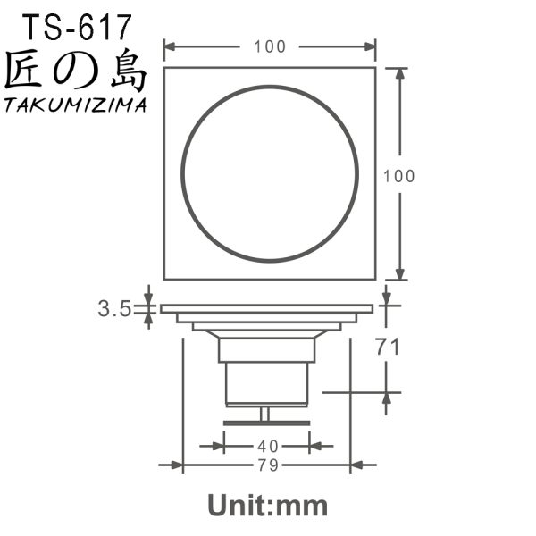 TS 617.3